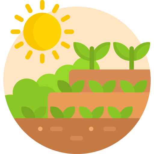 Rain Water Harvesting